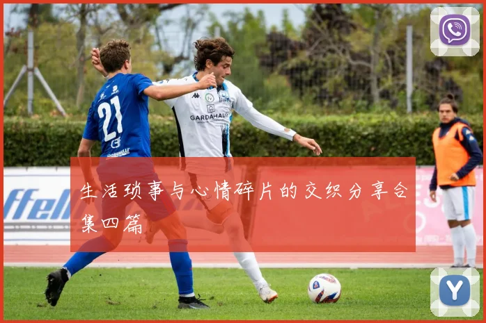 生活琐事与心情碎片的交织分享合集四篇